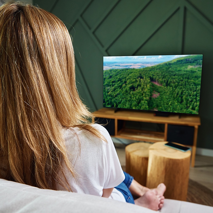 toma final de tv-radio blanca, serie europa, compatible con equipos eléctricos, ideal para conexiones audiovisuales y ampliación de señal.